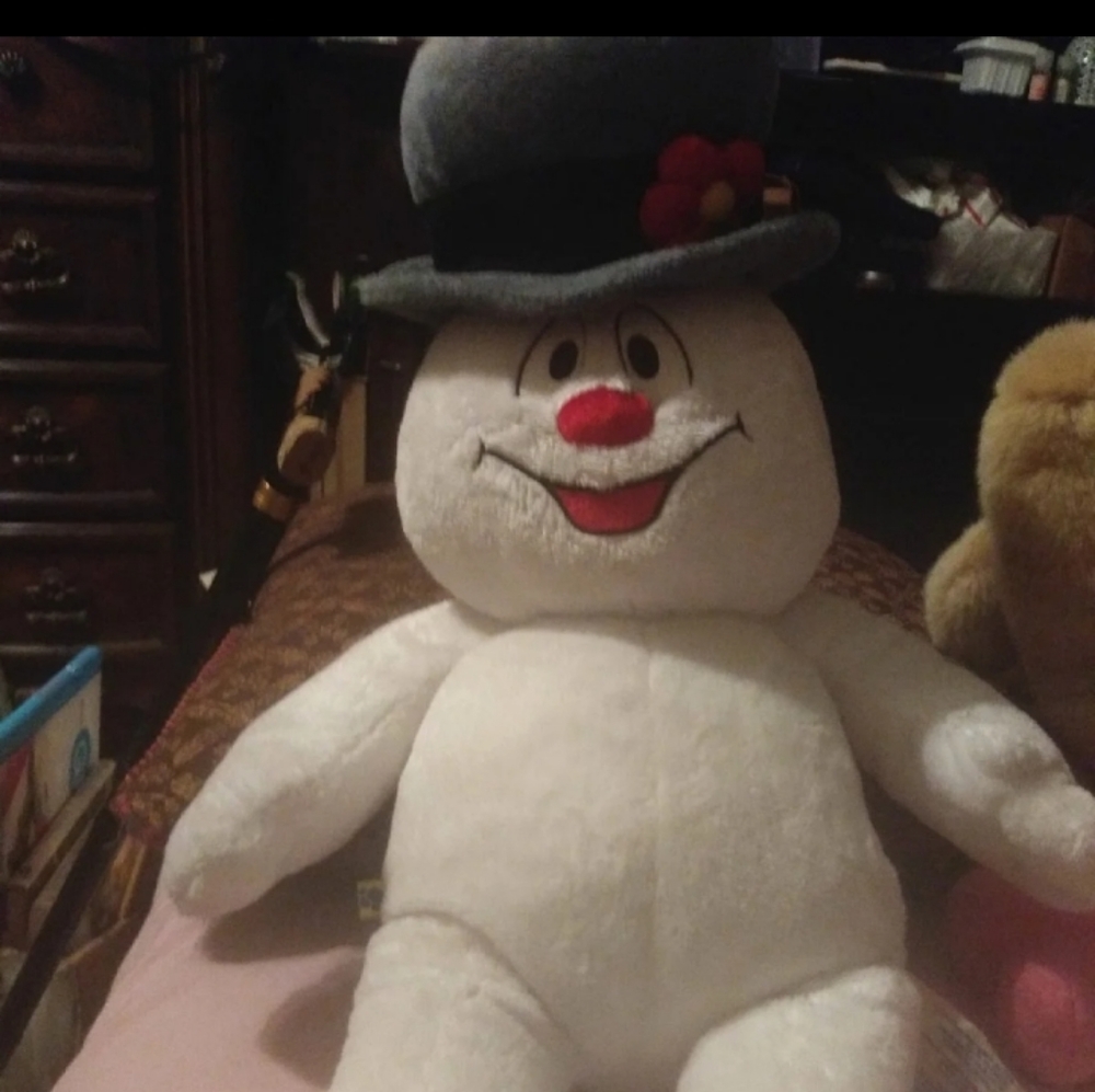 Build-A-Bear Snowman  20" - Picture 4 of 8